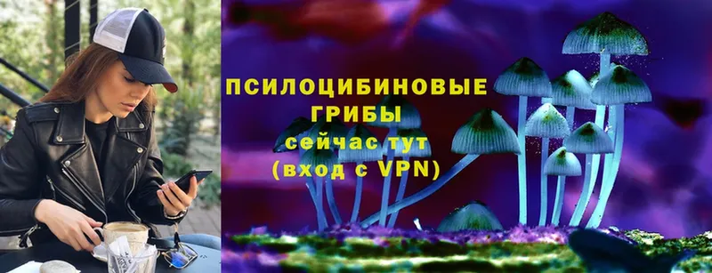 мега сайт  Лагань  Галлюциногенные грибы мицелий 